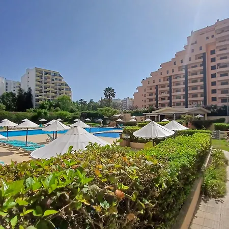 The Penthouse In Amarilis